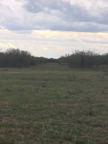 36847 Richard Frey 2-4 Road 4 Hempstead TX 77445
