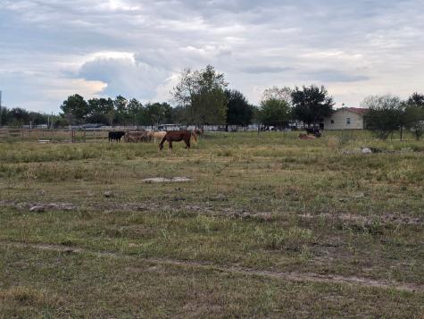 36847 Richard Frey 2-4 Road 4 Hempstead TX 77445