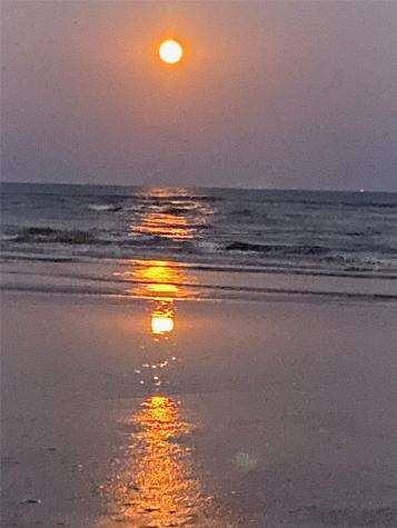 1991 Gulf Street Crystal Beach TX 77650