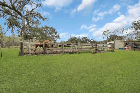 16423 County Road 528 Rosharon TX 77583
