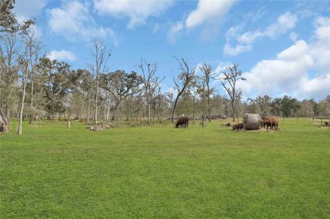 16423 County Road 528 Rosharon TX 77583