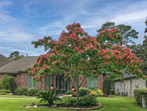34 Wedgewood Drive W Montgomery TX 77356