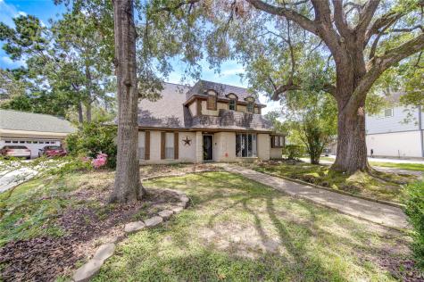 20010 Lucia Lane Humble TX 77346