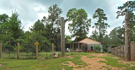 159 Greens Elbow Livingston TX 77351