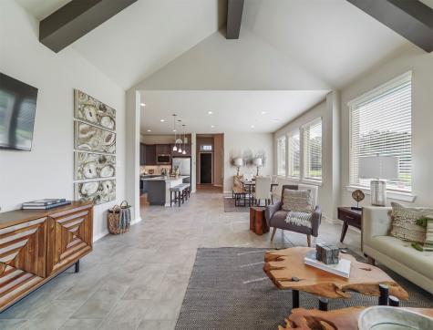 10738 Blossom River Drive Missouri City TX 77459