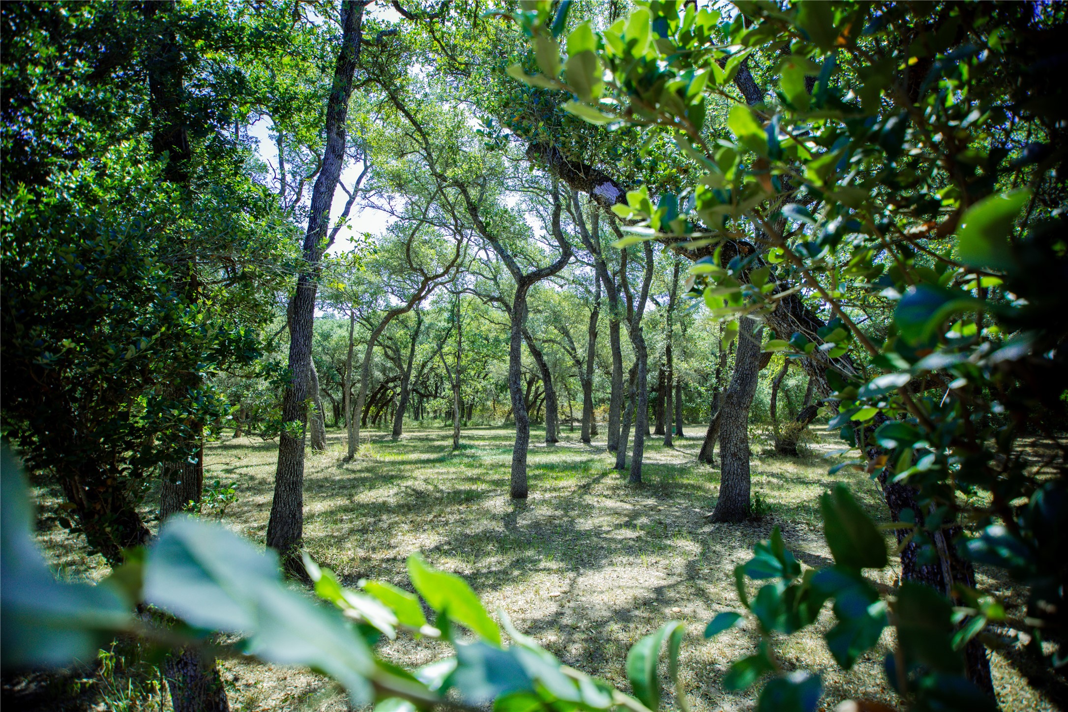 126 Private Road 1061 Hallettsville TX 77964