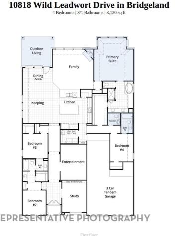 10818 Wild Leadwort Drive Cypress TX 77433