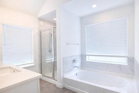 15907 Golden Trails Court Conroe TX 77302