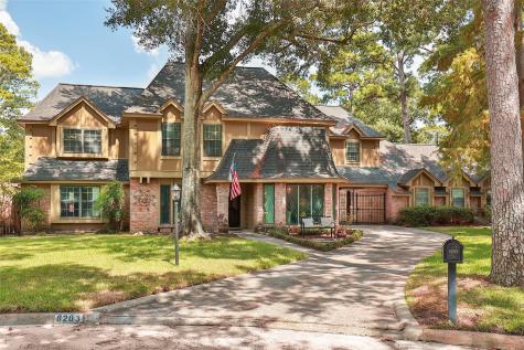 8203 Ash Valley Drive Spring TX 77379