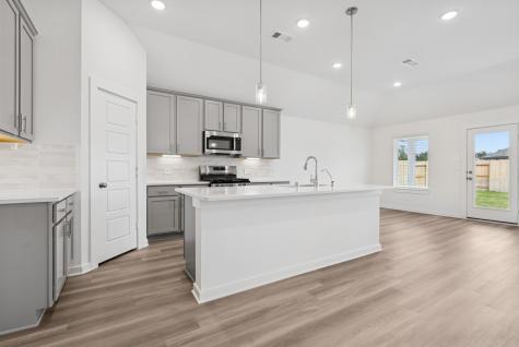 16923 Pin Cherry Leaf Drive New Caney TX 77357