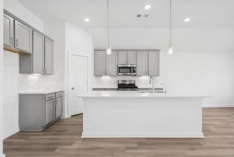 16923 Pin Cherry Leaf Drive New Caney TX 77357