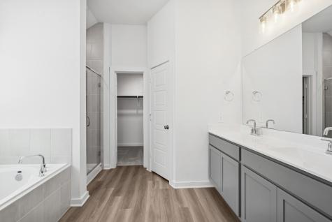 16923 Pin Cherry Leaf Drive New Caney TX 77357