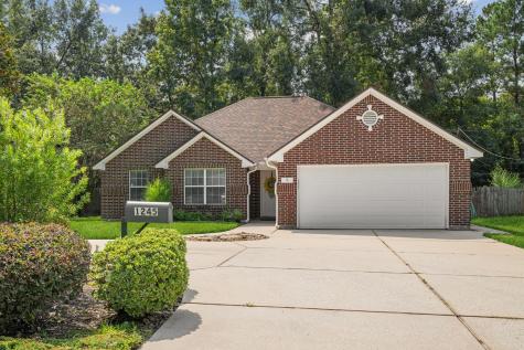 1245 Chateau Woods Parkway Drive Conroe TX 77385