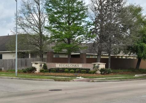 13314 Belvedere Park Court Houston TX 77047