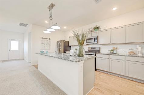 10805 Cathedral Peak Drive Rosharon TX 77583