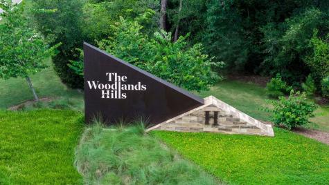 106 Hickory Forest Court Willis TX 77318