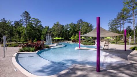 106 Hickory Forest Court Willis TX 77318