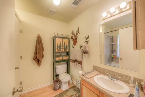 445 Knollwood Creek Onalaska TX 77360