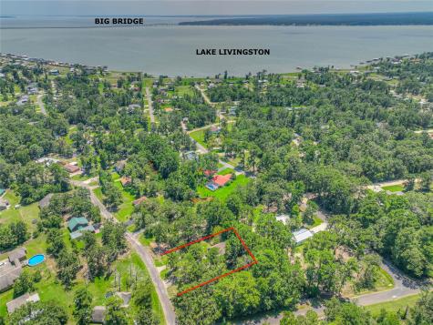 445 Knollwood Creek Onalaska TX 77360
