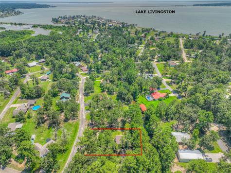 445 Knollwood Creek Onalaska TX 77360