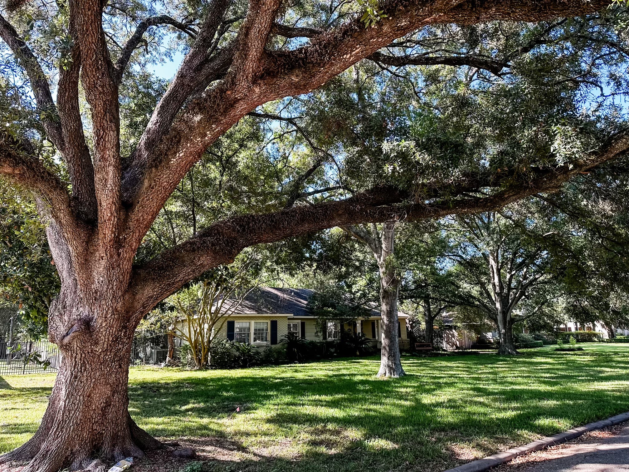 5417 Holly Street Bellaire TX 77401