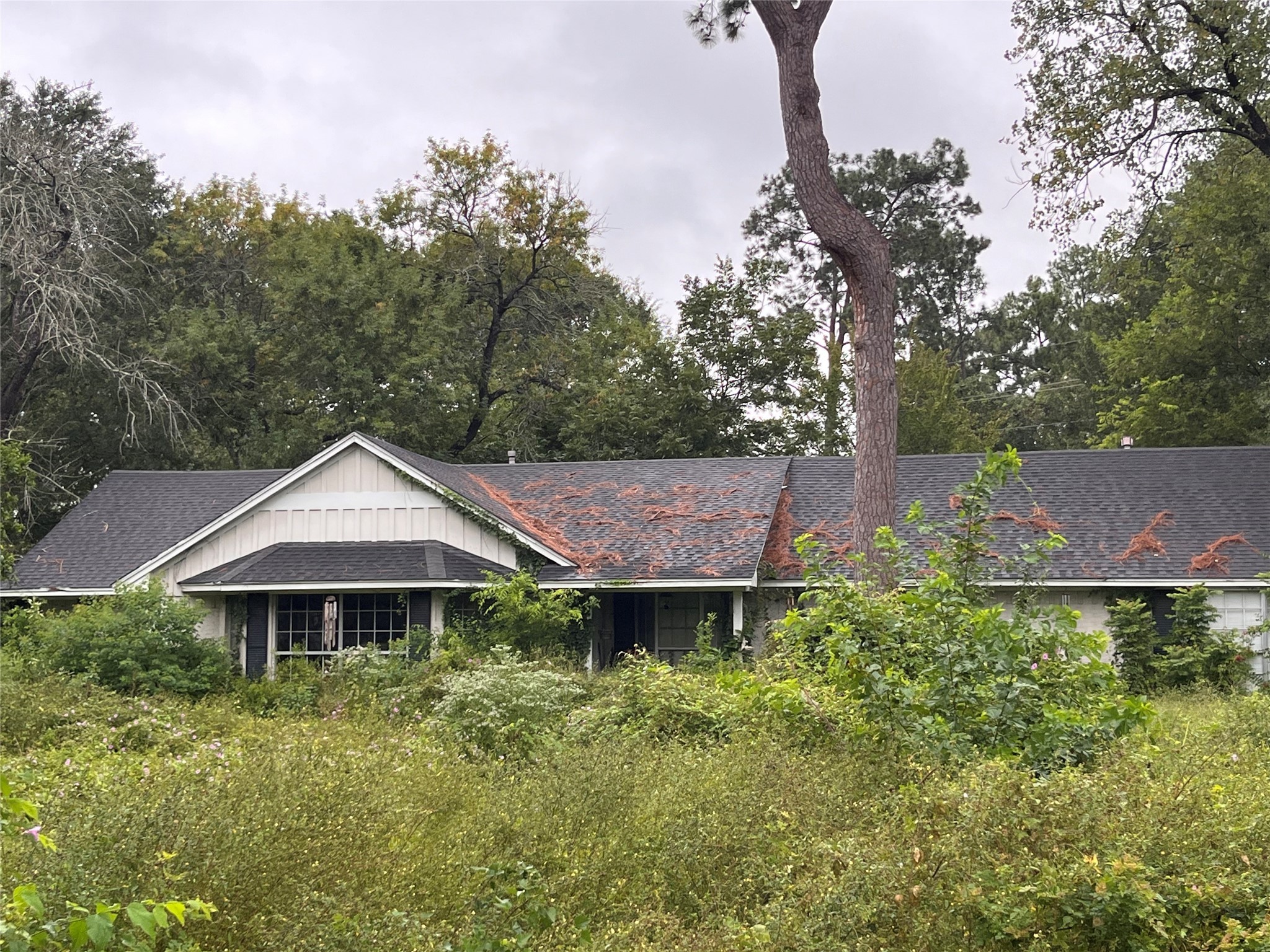 11739 Possum Hollow Lane Houston TX 77065