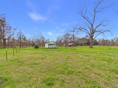 282-B Route 66 Livingston TX 77351