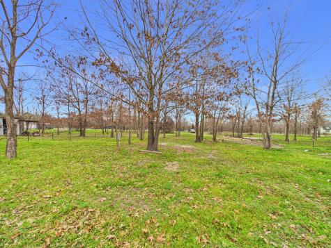 282-B Route 66 Livingston TX 77351