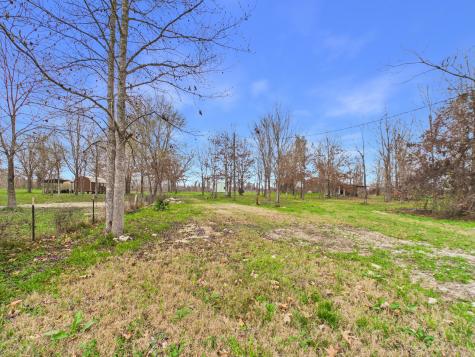 282-B Route 66 Livingston TX 77351