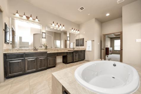 13810 Lake Port Cypress TX 77429