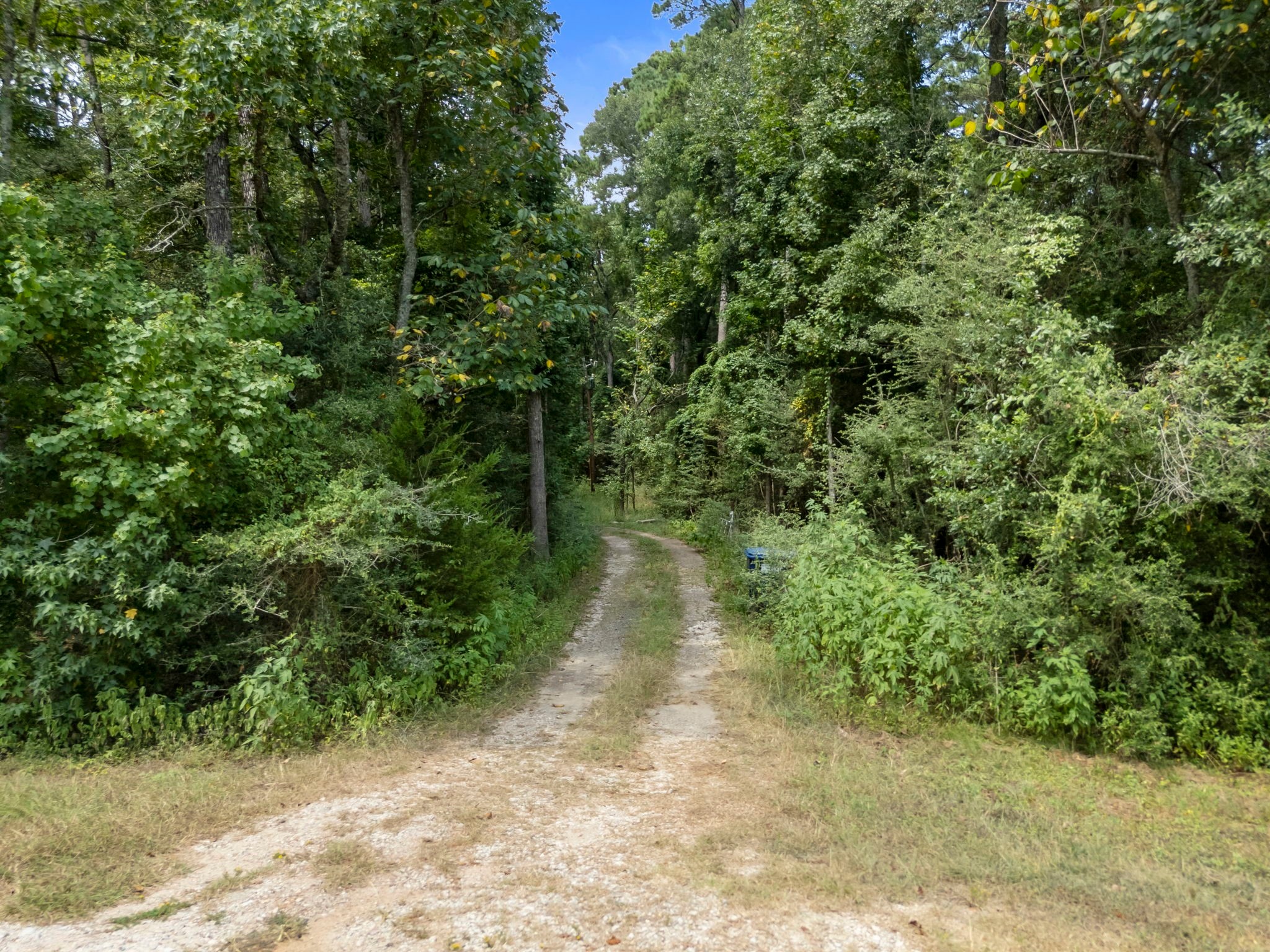 5903 Bee Creek Drive Willis TX 77378
