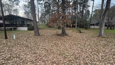 566 Governor Wood Drive Point Blank TX 77364