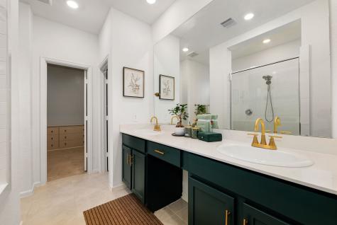 15500 Leopard Lily Lane Conroe TX 77302