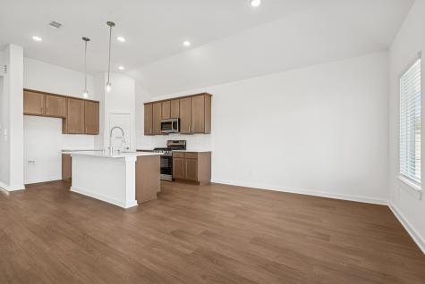 16919 Pin Cherry Leaf Drive New Caney TX 77357