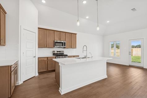 16919 Pin Cherry Leaf Drive New Caney TX 77357