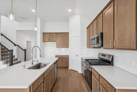 16919 Pin Cherry Leaf Drive New Caney TX 77357