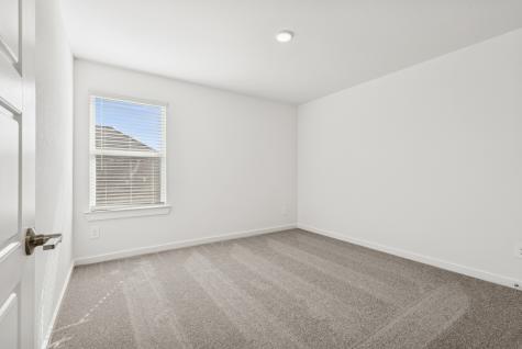 16919 Pin Cherry Leaf Drive New Caney TX 77357