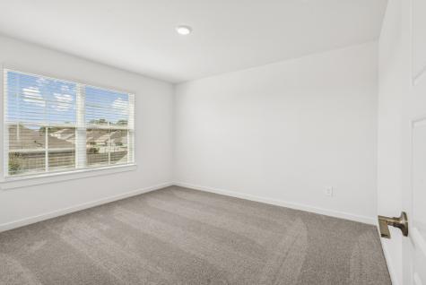 16919 Pin Cherry Leaf Drive New Caney TX 77357