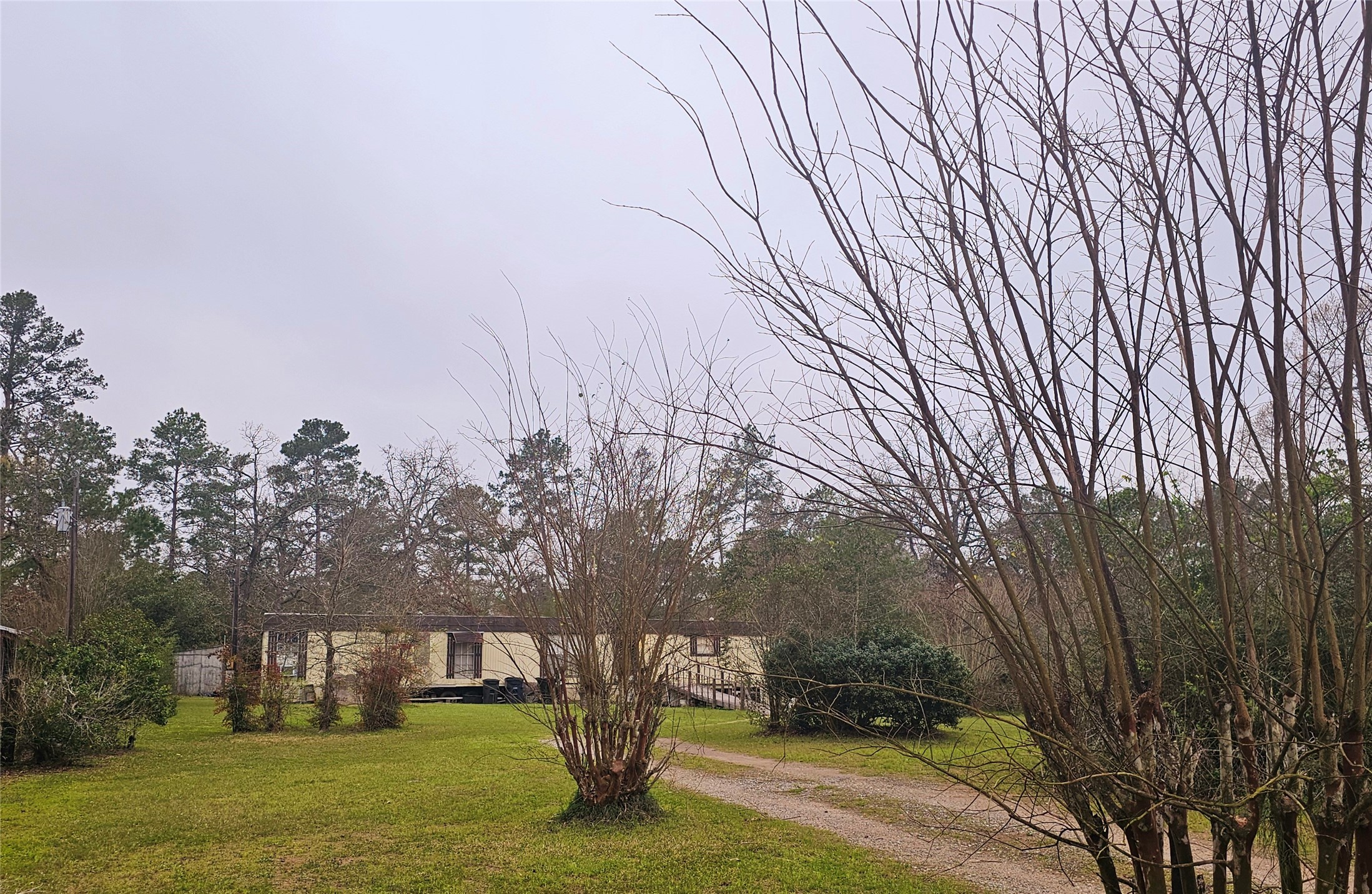 113 Cedar Court Magnolia TX 77355
