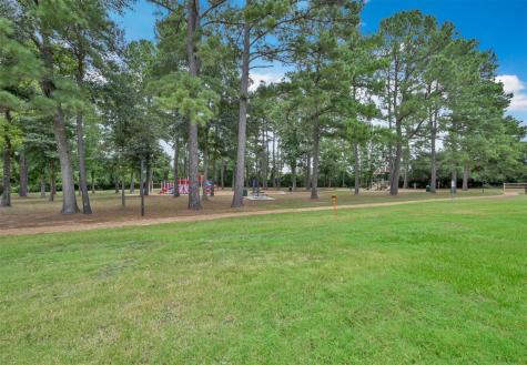 11814 Green Willow Falls Drive Tomball TX 77375