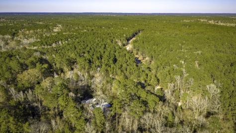 113 Preston Avenue Livingston TX 77351