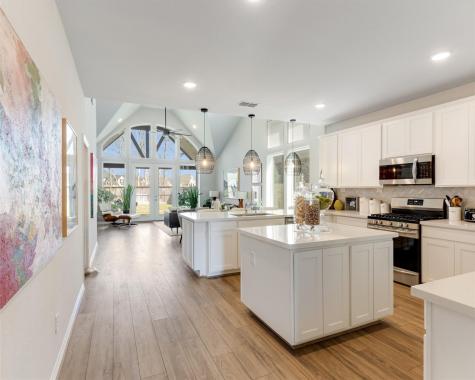 1726 Waters Branch Drive Missouri City TX 77459
