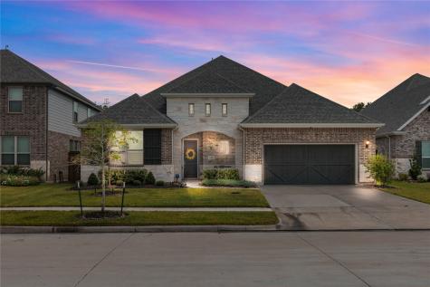 1017 Goose Creek Street Webster TX 77598