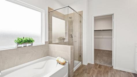 20480 Coast Redwood Street New Caney TX 77357