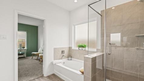 20480 Coast Redwood Street New Caney TX 77357