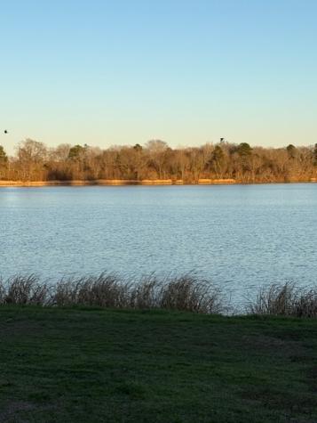 116 Grapeland Lake Road Grapeland TX 75844