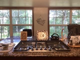 116 Grapeland Lake Road Grapeland TX 75844