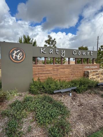 3523 Blue Mistflower Drive Katy TX 77493