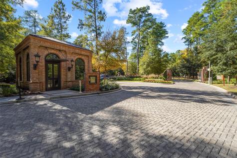 517 Grand Palisade Place Montgomery TX 77316
