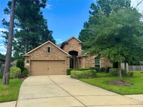 147 N Claret Cup Lane Montgomery TX 77316